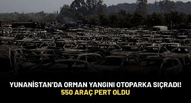 Yunanistan'da orman yangını otoparka sıçradı! 550 araç pert oldu...