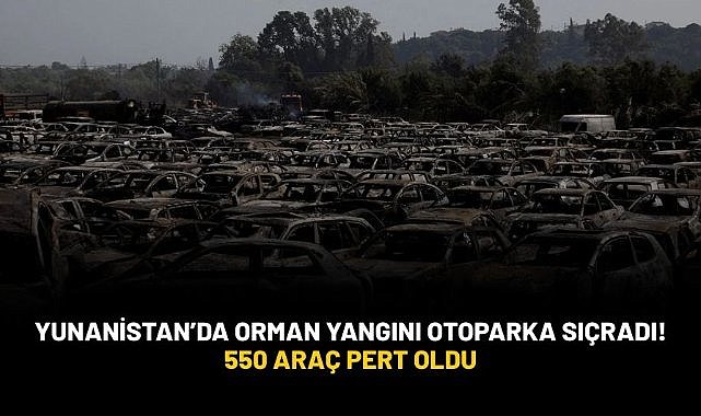 Yunanistan'da orman yangını otoparka sıçradı! 550 araç pert oldu...