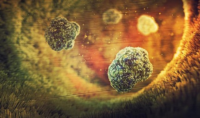 31 ülkede kolera alarmı! 4 bin 738 kişi hayatını kaybetti