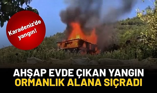 Ahşap evde çıkan yangın ormanlık alana sıçradı