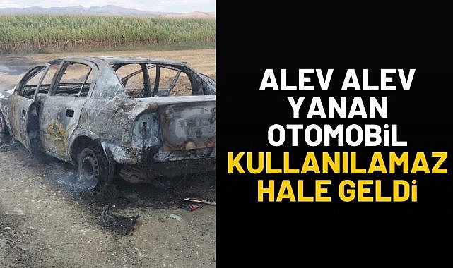 Alev alev yanan otomobil kullanılamaz hale geldi