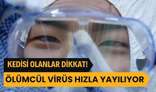 Almanya'yı saran hastalık: Saatler içerisinde öldürüyor!