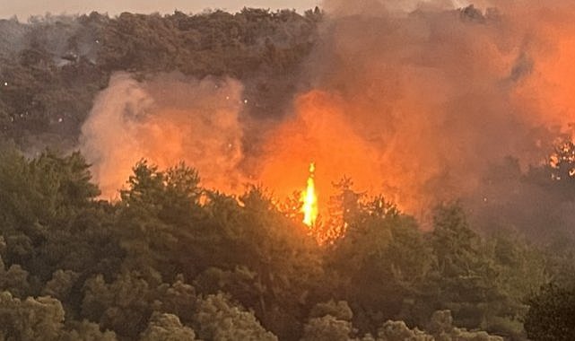 Antalya'da orman yangını 