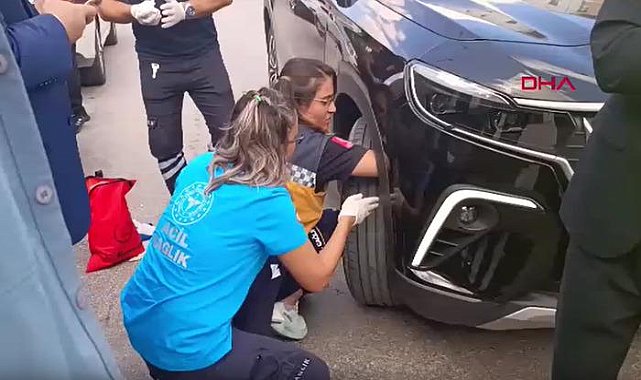 Bakan konvoyundaki araca giren yavru kediyi 112 ekipleri kurtardı