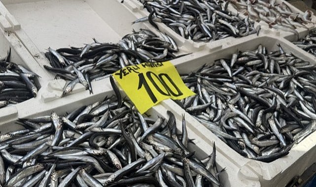 Balıkçı tezgahlarında hamsi bolluğu
