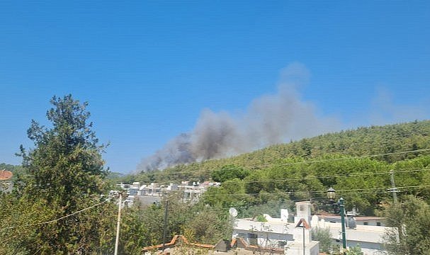 Bodrum'da orman yangını! Rüzgarın etkisiyle büyüdü