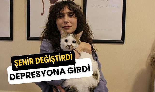Bursa'dan Sivas'a taşınan Paşa depresyona girdi