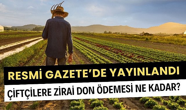 Çiftçilere zirai don desteği! Rakamlar ve şartlar belli oldu