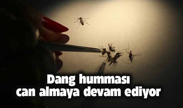 Dang humması alarmı! Son 24 saatte 3 kişi öldü