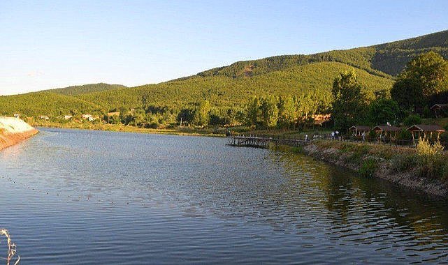 Doğa ve şifanın küme bölgesi! Görenler İskandinav ülkesi zannediyor ama burası Samsun'da