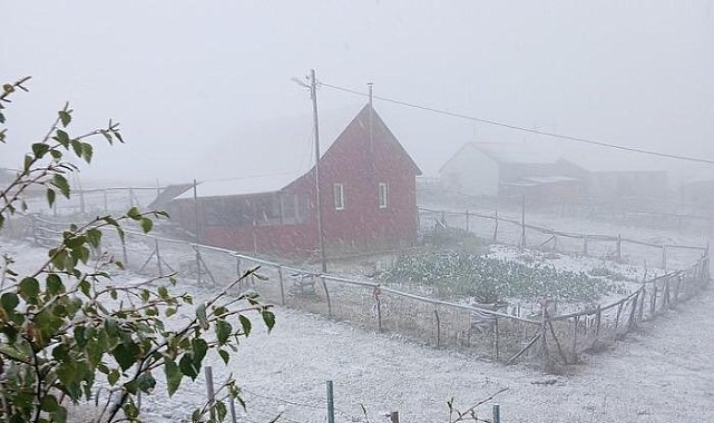Doğu Karadeniz'de şiddetli yağışın ardından kar yağışı başladı