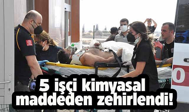 Edirne’de 5 işçi kimyasal maddeden zehirlendi!