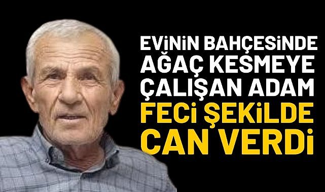 Evinin bahçesinde ağaç kesmeye çalışan adam feci şekilde can verdi