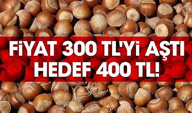 Fındıkta fiyat 300 TL'yi aştı, hedef 400 TL!