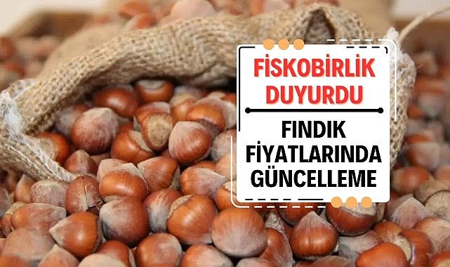 FİSKOBİRLİK'ten fındık fiyat güncellemesi 