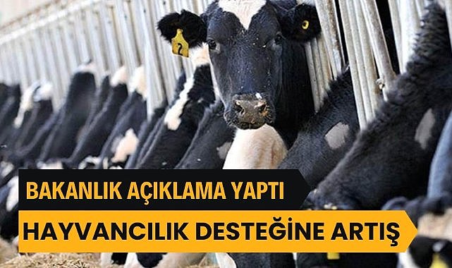 Hayvancılıkla ilgili destekleme miktarlarında artışa gidildi