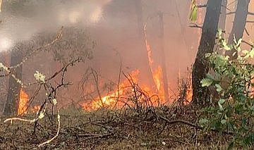 Karabük'te örtü yangını! Ormana sıçradı