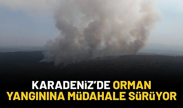 Karadeniz'de orman yangınına müdahale sürüyor