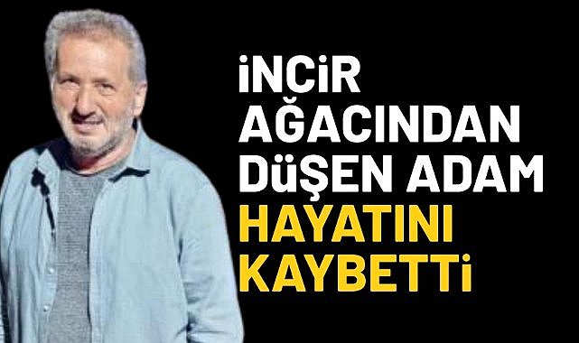 Kastamonu'da incir ağacından düşen adam öldü