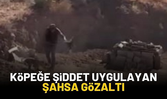 Köpeğe şiddet uygulayan şahsa gözaltı