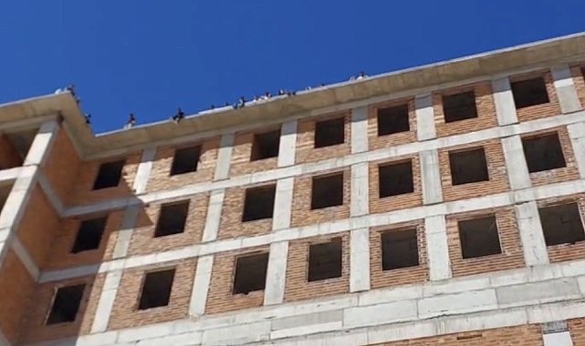 Maaşlarını alamayan işçiler toplu intihara kalkıştı