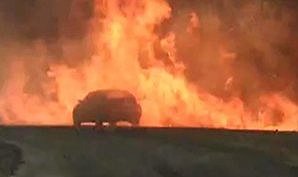 Muğla'da orman yangını 