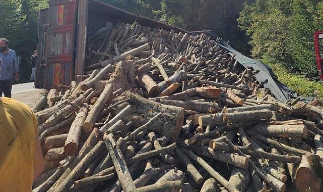 Ordu'da tomruk kamyonu devrildi: 21 ton tomruk yola saçıldı