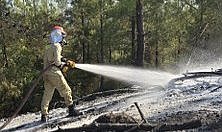 Osmaniye'de orman yangını