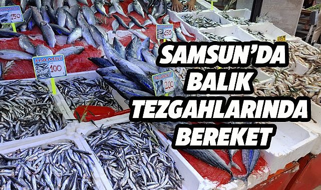 Samsun'da balık tezgahları şenlendi
