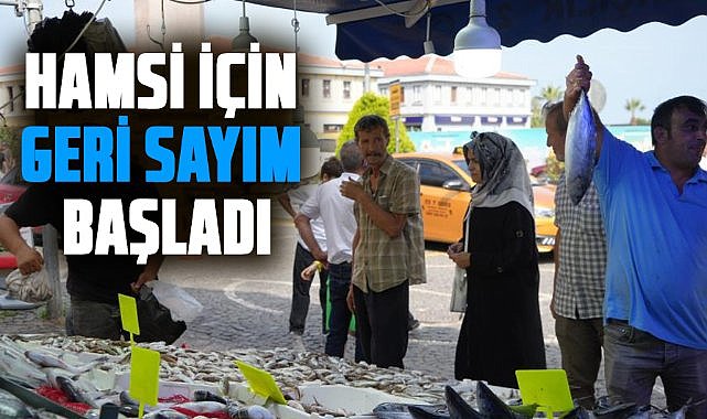 Samsun'da hamsi için geri sayım başladı