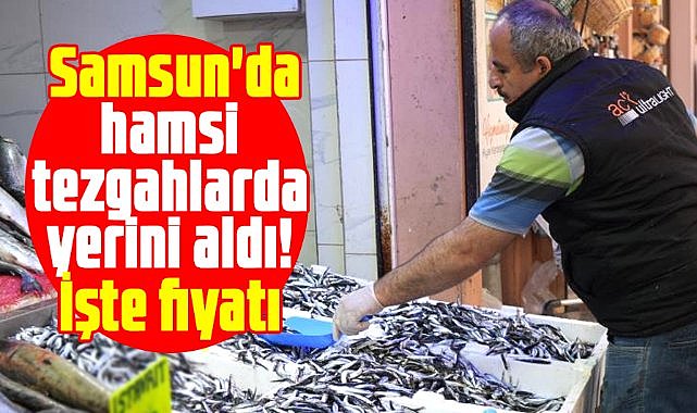  Samsun'da hamsi tezgahlarda yerini aldı! İşte fiyatı 