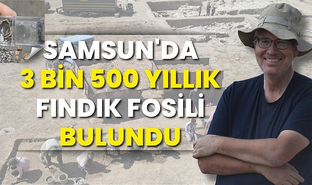 Samsun'da Hititlerin kutsal kenti Nerik'te 3 bin 500 yıllık fındık fosili bulundu