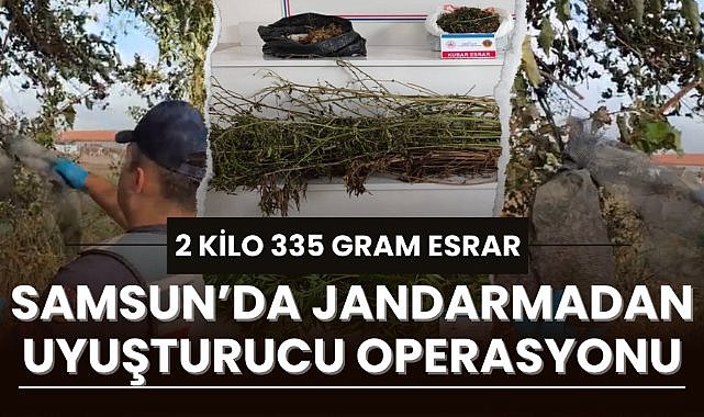 Samsun'da jandarmadan uyuşturucu operasyonu! 2 kilo 355 gram esrar ele geçirdi