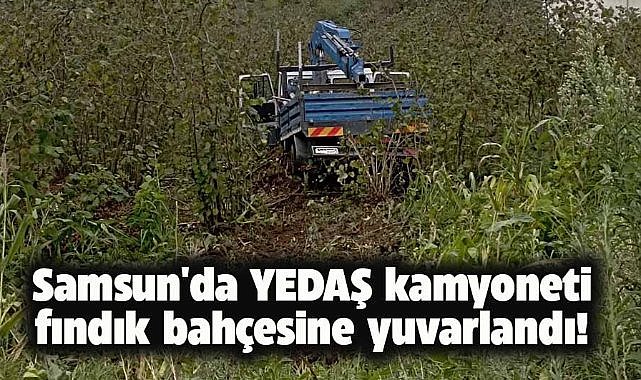 Samsun'da YEDAŞ kamyoneti fındık bahçesine yuvarlandı! 3 kişi yaralandı