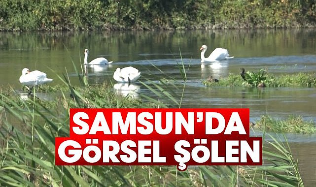 Samsun Kızılırmak Nehri'nde görsel şölen