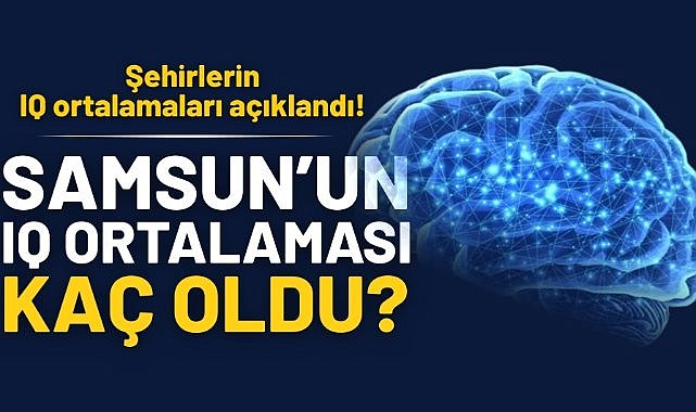Şehirlerin IQ ortalamaları açıklandı! Samsun'un IQ ortalaması kaç oldu?