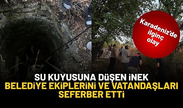 Su kuyusuna düşen inek, vatandaşları ve belediye ekiplerini seferber etti