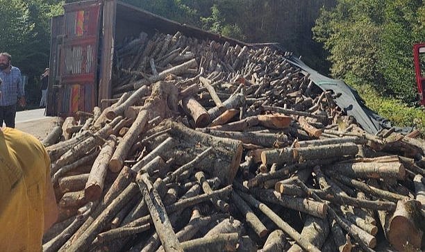 Tomruk kamyonu devrildi! 21 ton tomruk yola saçıldı