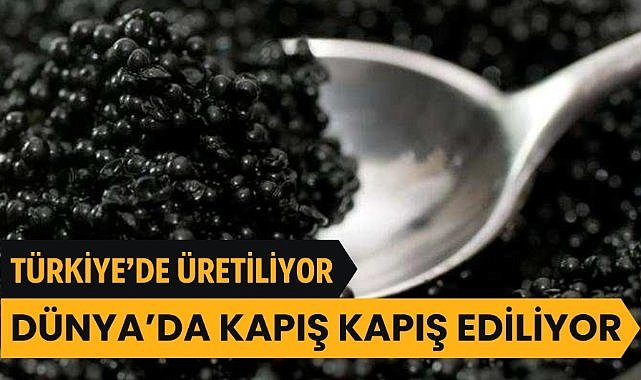 Türkiye'de üretiliyor ve dünyaya gramı 1 Euro'dan satılıyor