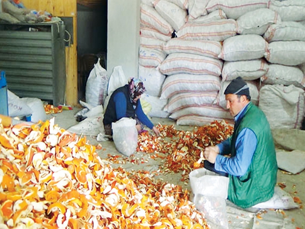 Portakal Kabuğu Ekmek Kapısı Oldu