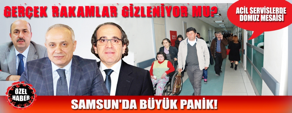 Domuz Gribinde Gerçek Rakamlar Gizleniyor Mu?