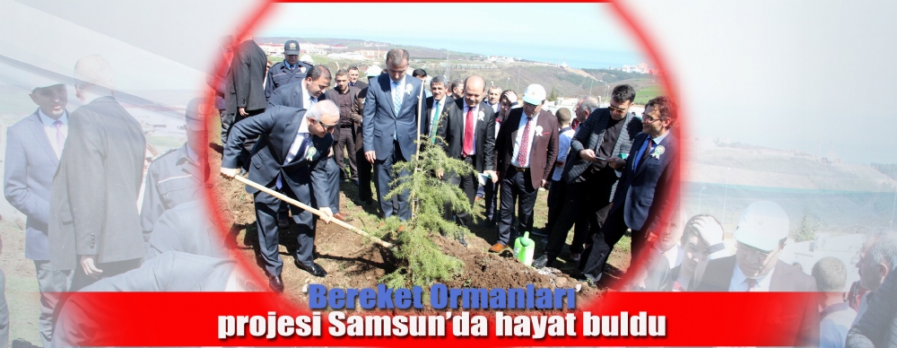 ‘ Bereket Ormanları’ Projesi Samsun’da Hayat Buldu