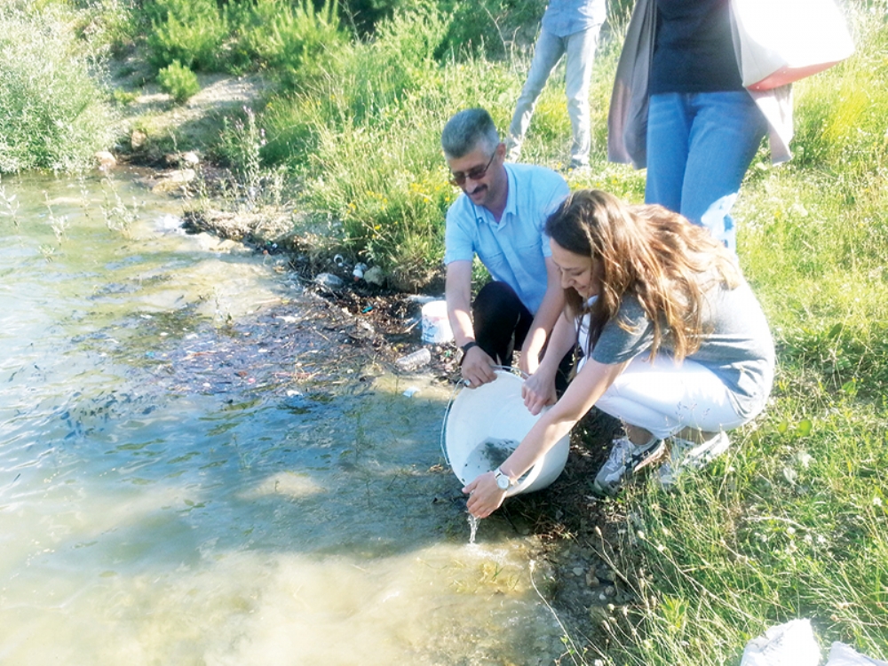 Göletlere 10 Bin Sazan Yavrusu Bırakıldı