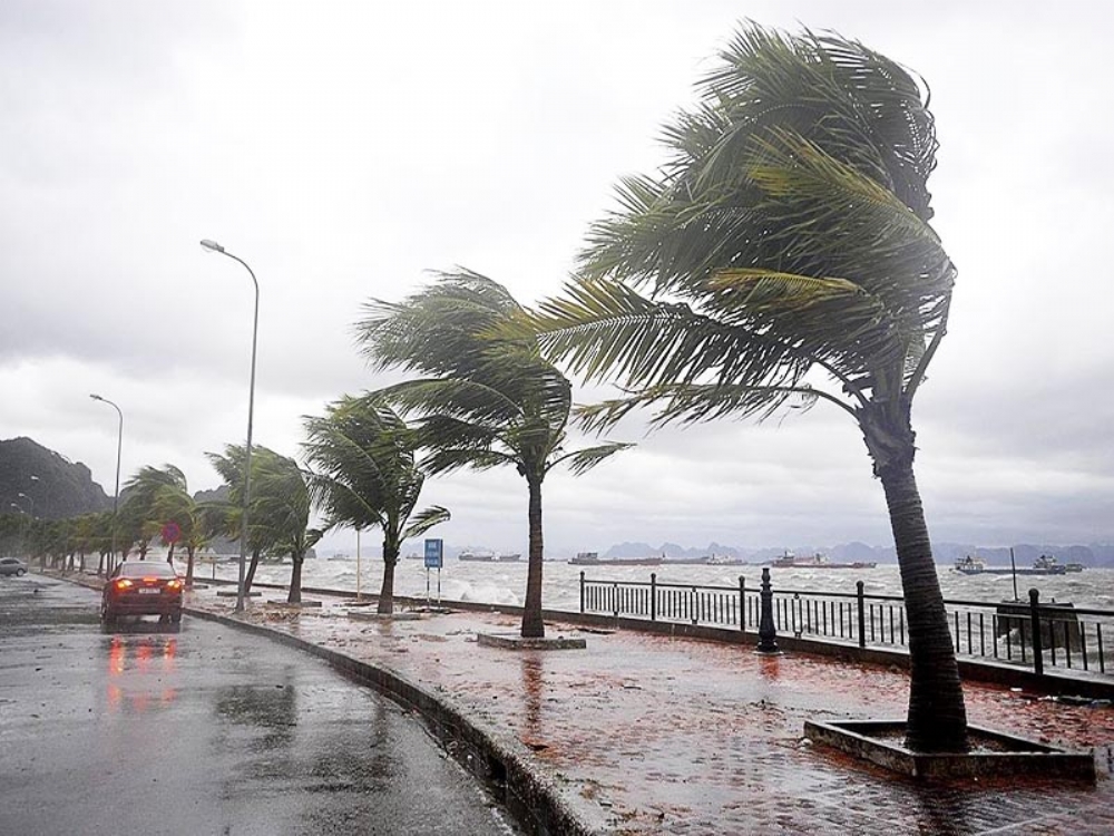 Samsun'a Lodos Uyarısı
