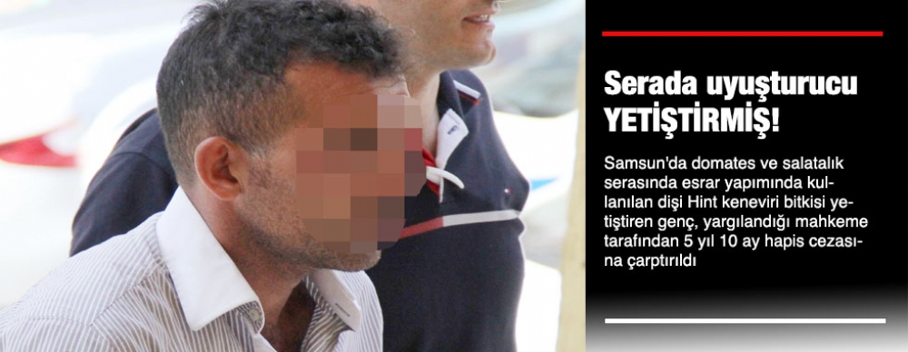 Serada Uyuşturucu Yetiştirmiş!