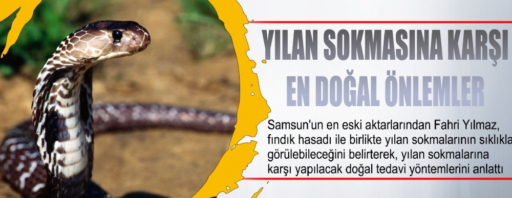 yilan sokmasina karsi dogal cozumler