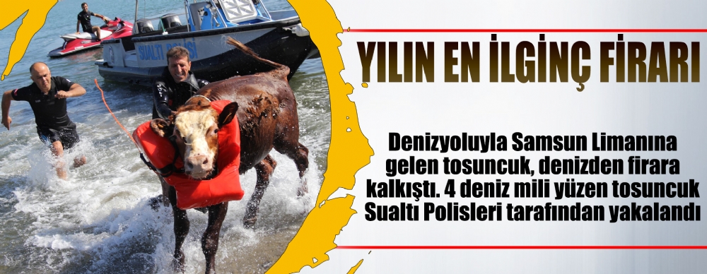 Polisten Denizde Hayvan Kurtarma Operasyonu