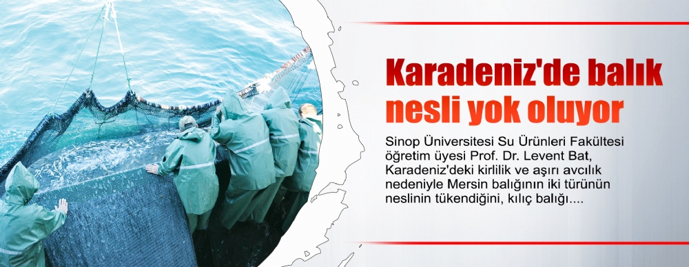 kirlilik karadeniz de balik neslini tuketiyor guncel