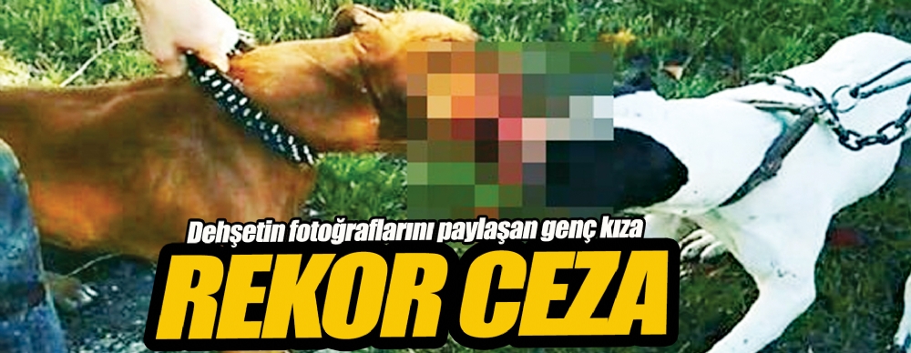 gazete gercek
