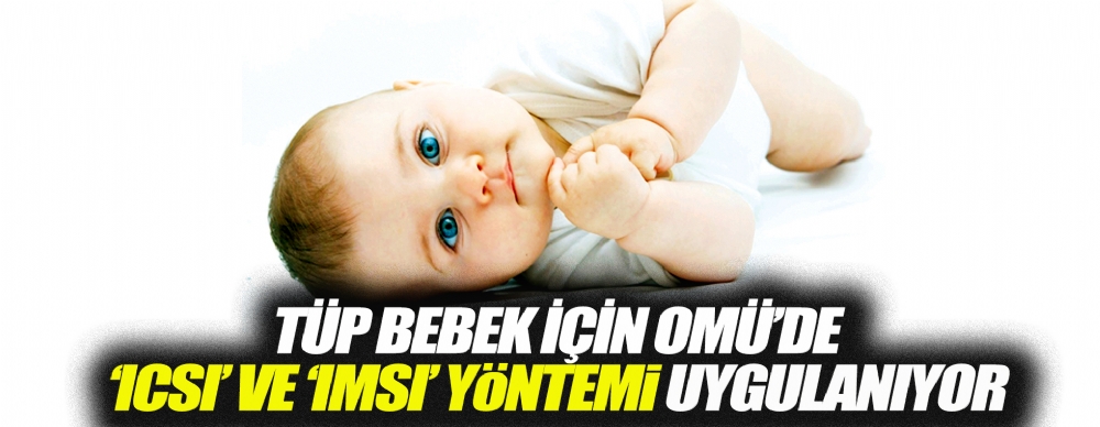 Tup Bebek Icin Omu De Icsi Ve Imsi Yontemi Uygulaniyor Saglik